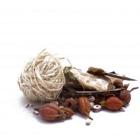 HU QIAN WAN by PV herbs