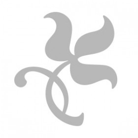 Coffret Duo Equilibri Aigua